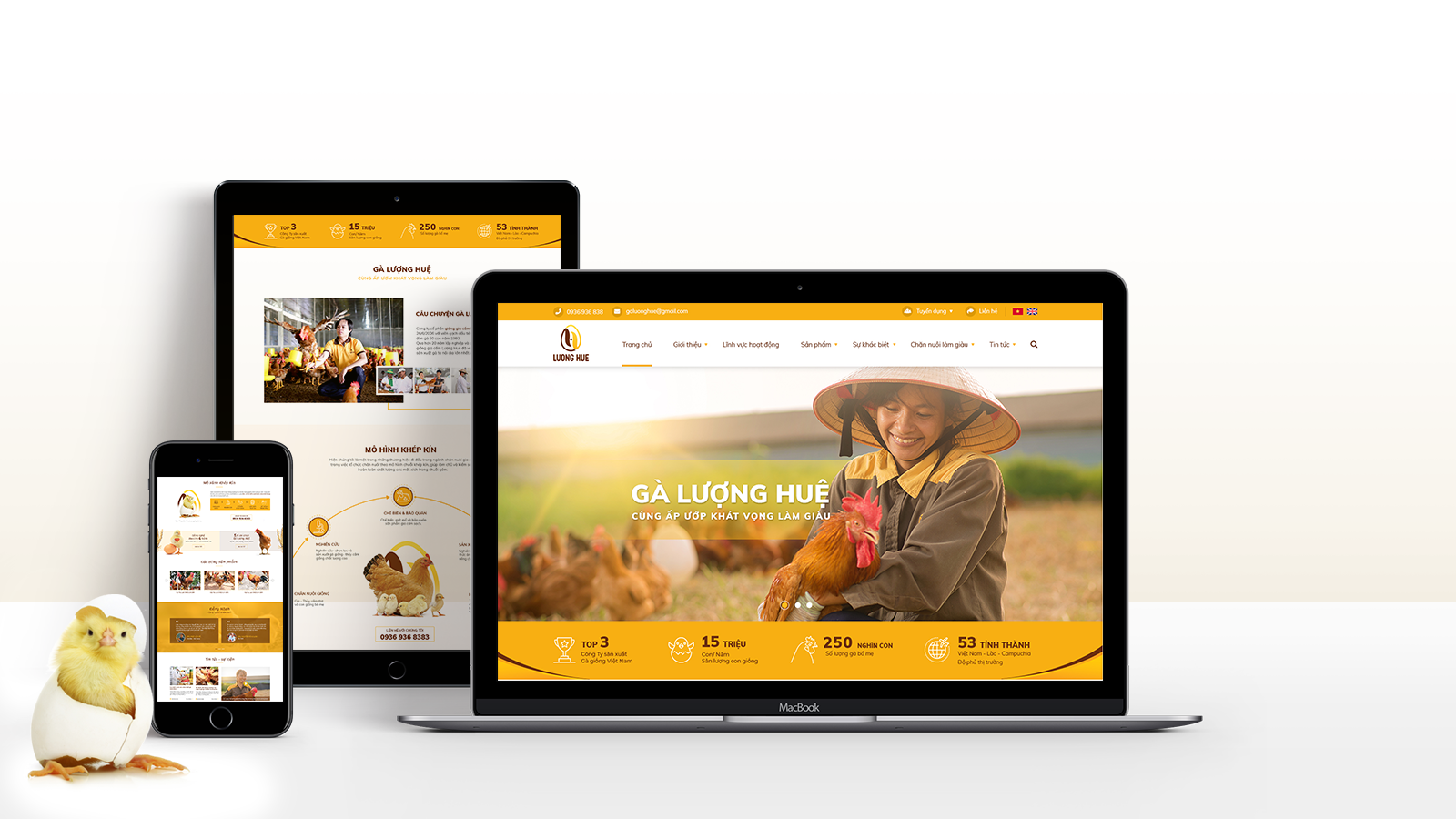 Làm thế nào để xây dựng thương hiệu cho website của doanh nghiệp?